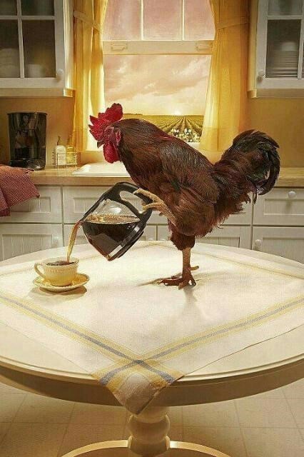 고은님 이미지