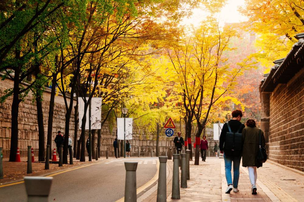 외국인이 촬영한 한국 풍경 | 인스티즈