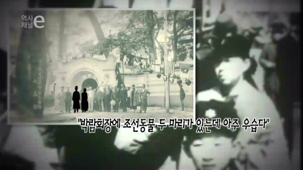 미개한 인간을 전시합니다 | 인스티즈
