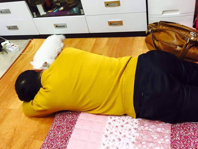 아부지는 고양이가너무싫다 .jpg | 인스티즈