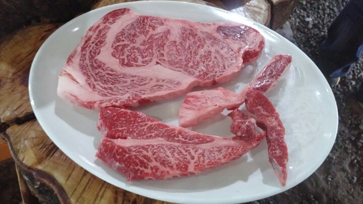 양지 이미지