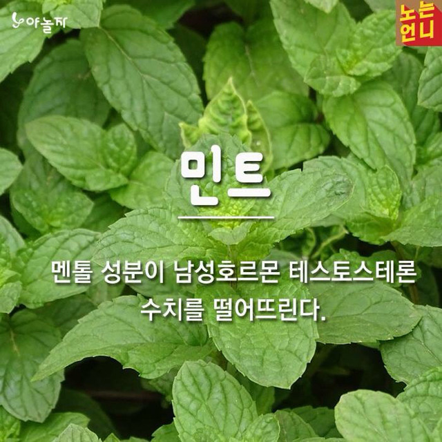 남자가 먹으면 좋지 않은 음식 | 인스티즈
