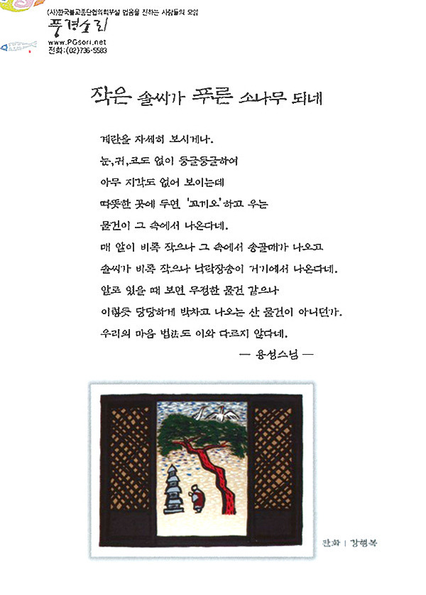 푸른&소나무 이미지