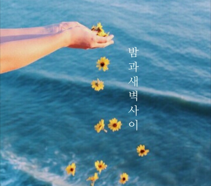 카맥스 이미지