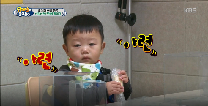 대박이의 아련아련 눈빛공격 (대박이의 성격은? 천성 vs 후천적 교육) | 인스티즈