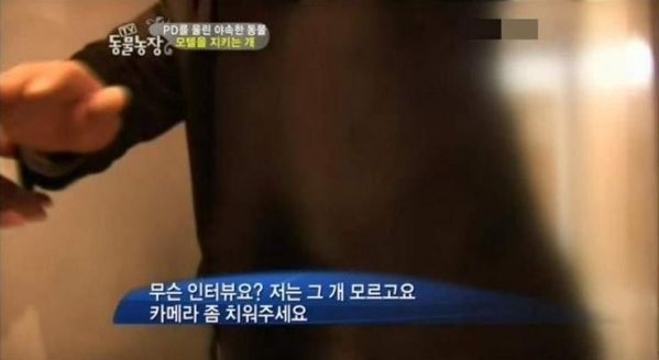 단골을 알아보는 멍멍이 | 인스티즈