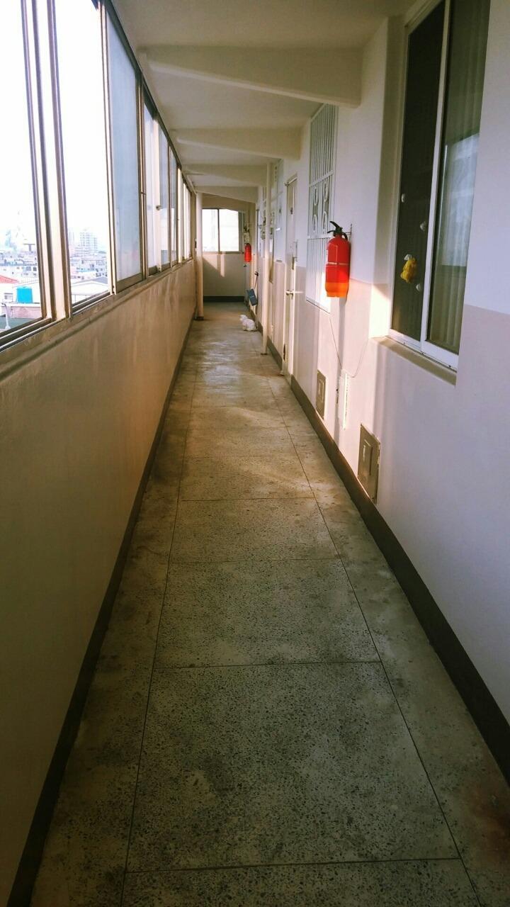 자기가 버려졌다는것도 모른체 자기자리를 지키는.. | 인스티즈