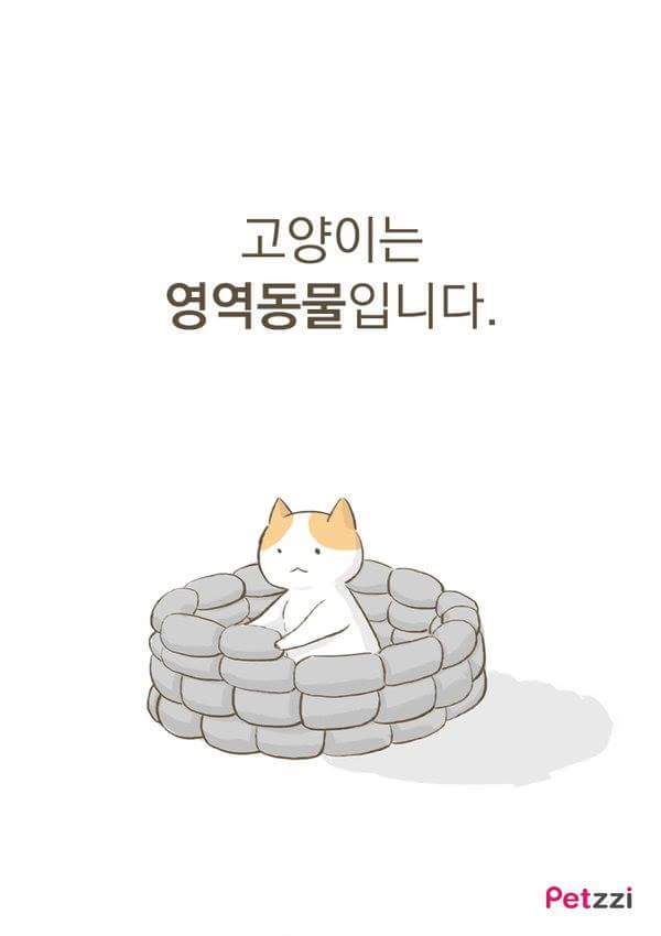 고양이가 화장실 앞에서 기다리고있는 이유(만화).jpg | 인스티즈