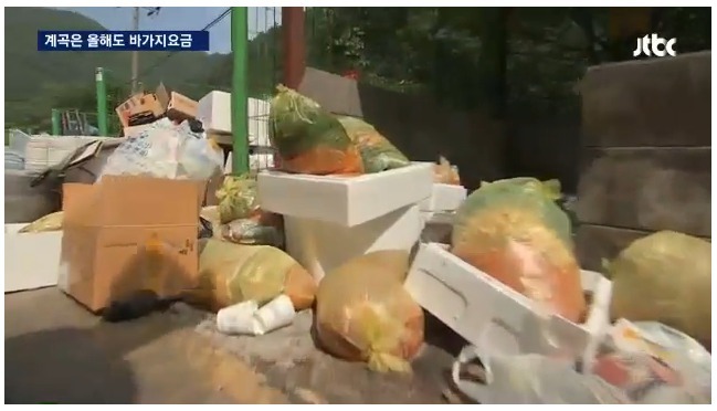 해외여행 늘어나는 이유 | 인스티즈