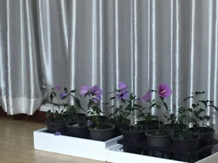 삼일통신 이미지