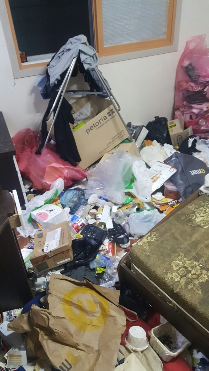 쓰레기더미에서 고양이와 살던 아가씨 퇴거시키고 왔습니다 | 인스티즈