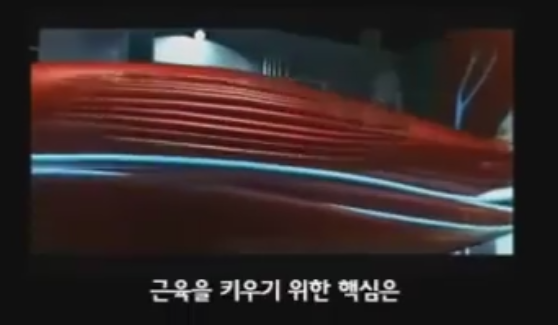 근육이 자라는 과정 | 인스티즈