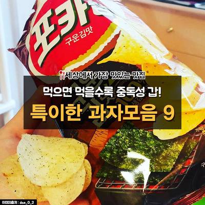 돼지력 테스트 | 인스티즈