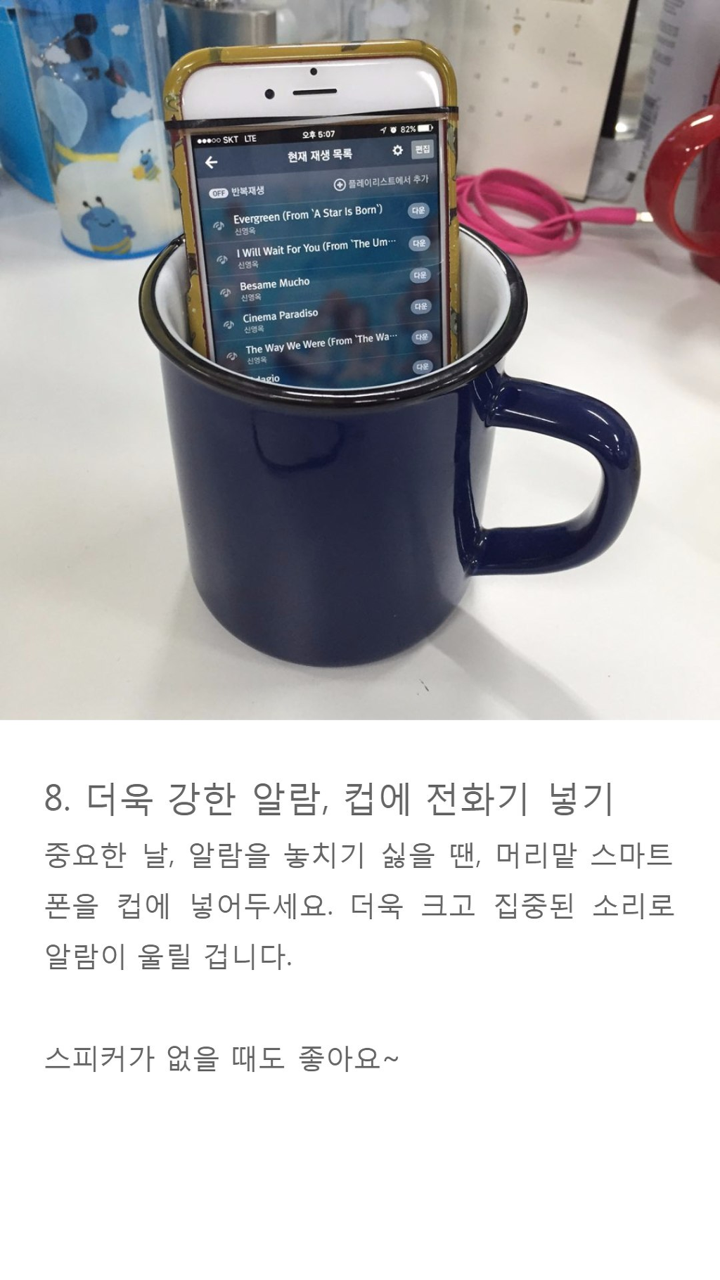 나혼자 사는 무지개 회원들을 위한 팁 | 인스티즈