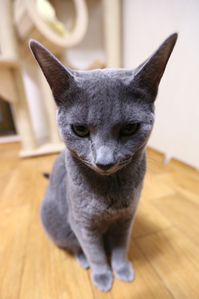 여랑 이미지