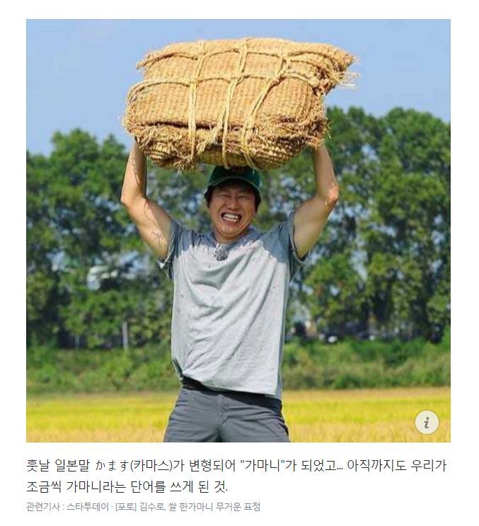 가마니라는 말 함부로 쓰면 안되는 이유 | 인스티즈