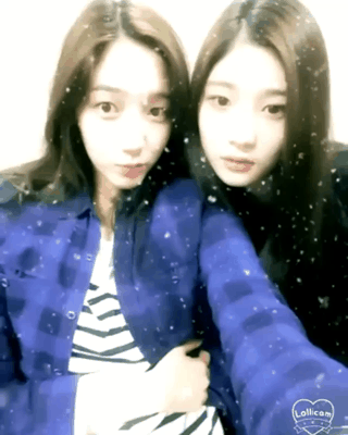 프로듀스101 김다니 정채연 | 인스티즈