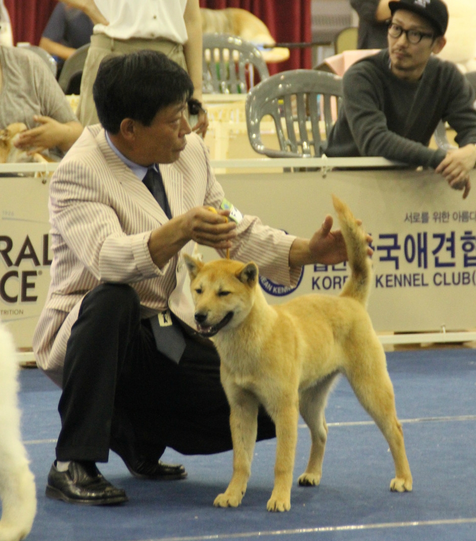 인터내셔널 F/S 이미지