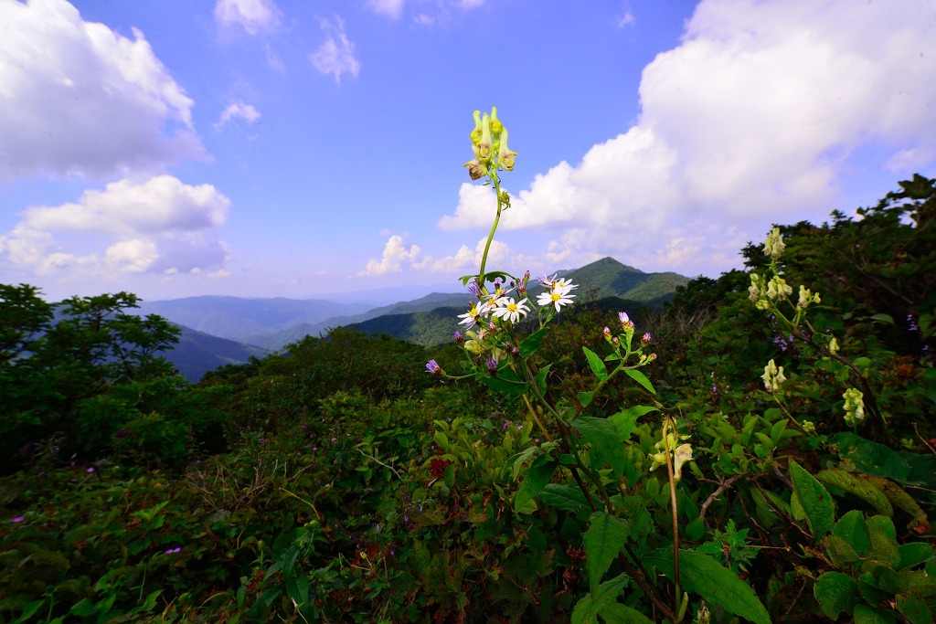 산정상 이미지