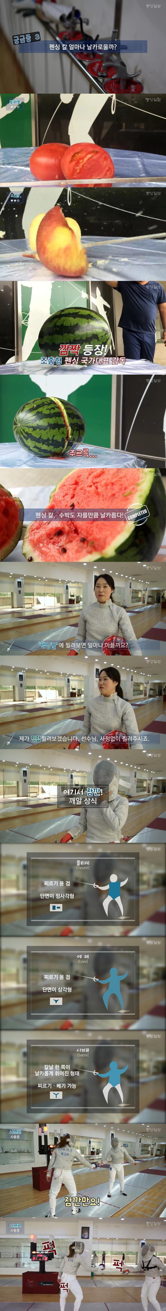펜싱 체험한 기자의 최후.jpg | 인스티즈