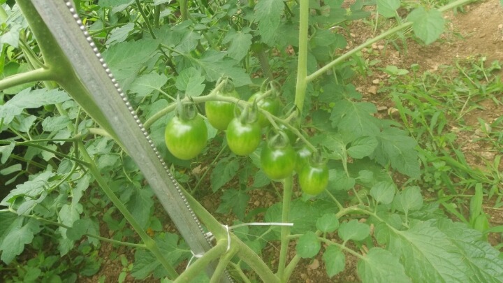 (주)농업회사법인 귀농 이미지