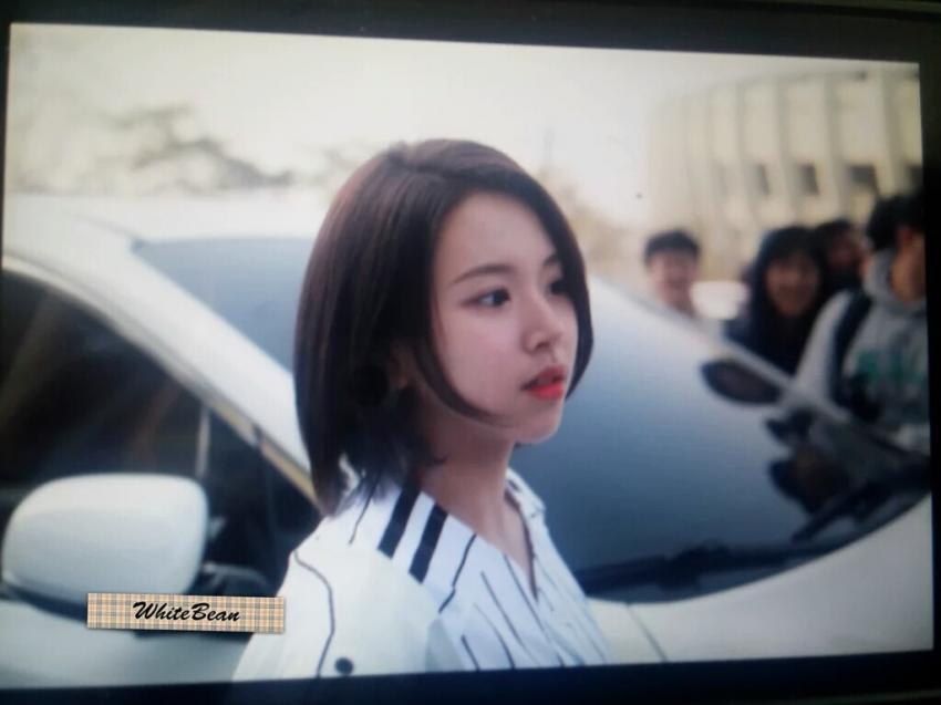 [트와이스] 방금 뜬 채영이 바뀐 머리 | 인스티즈