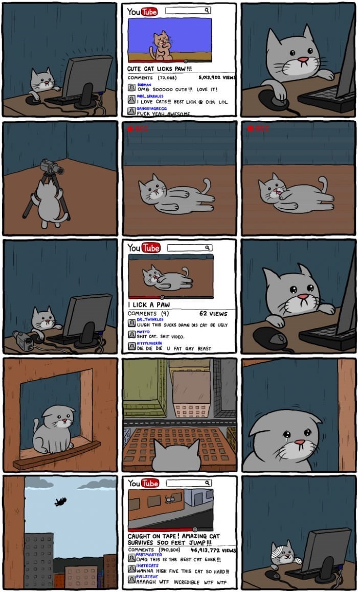 고양이 BJ.jpg | 인스티즈