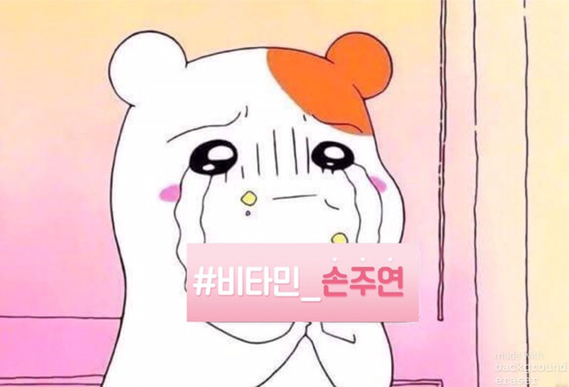 손블리 이미지