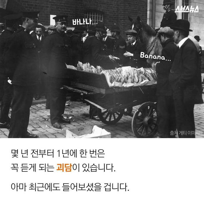  바나나 괴담의 진실 | 인스티즈