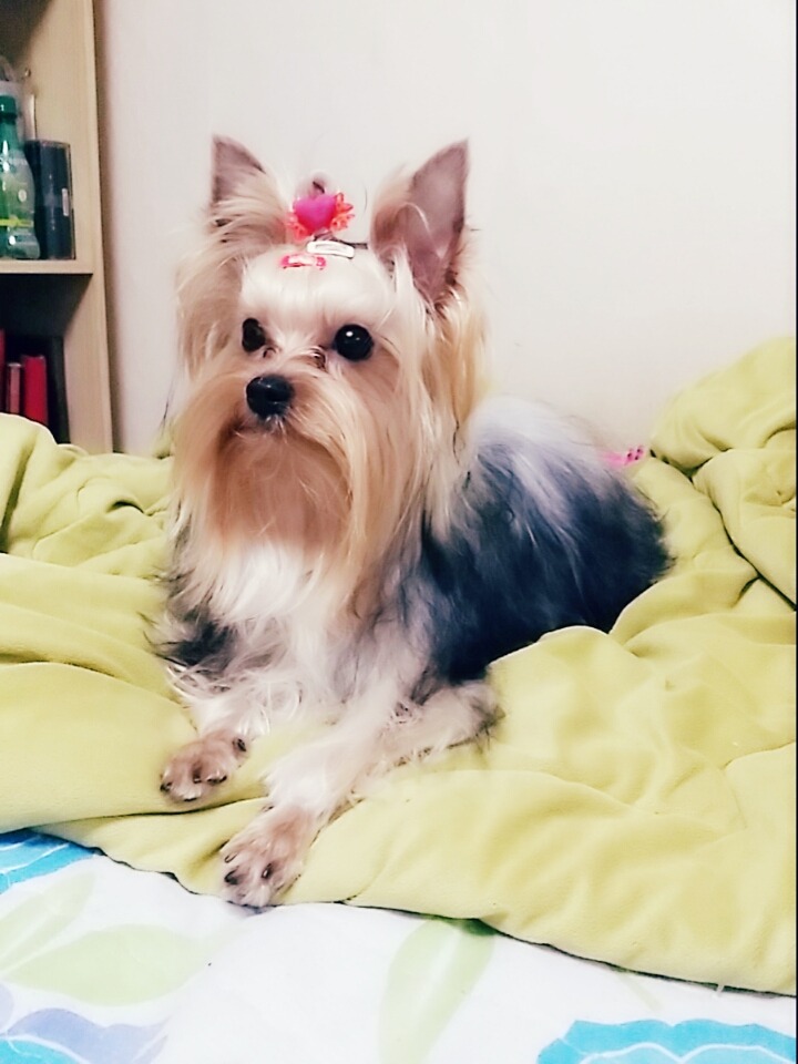 도담 이미지