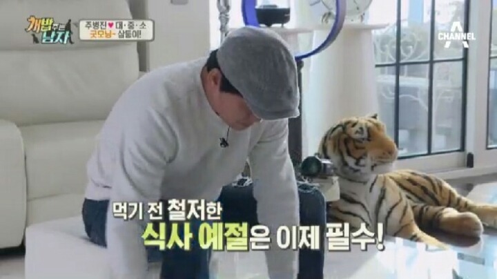 [개밥주는남자] 웰시코기 삼둥이 대중소 식탐고치기 (feat.갓형욱) | 인스티즈