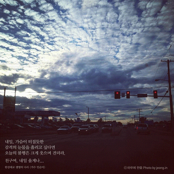 평생 삶의 결정적 순간을 찍으려 발버둥 쳤으나 삶의 모든 순간이 결정적 순간이었다 | 인스티즈