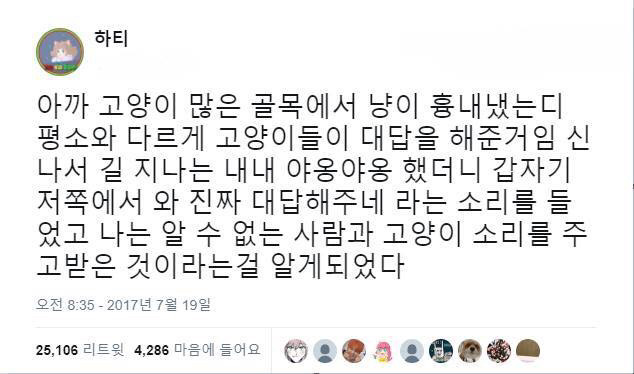 골목길 지나가다 고양이 소리 낸 썰 | 인스티즈