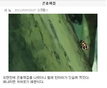 나루토 미니홈피ver | 인스티즈