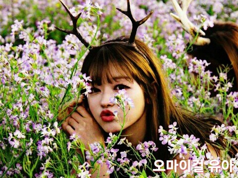 지하철 노선의 변화 | 인스티즈