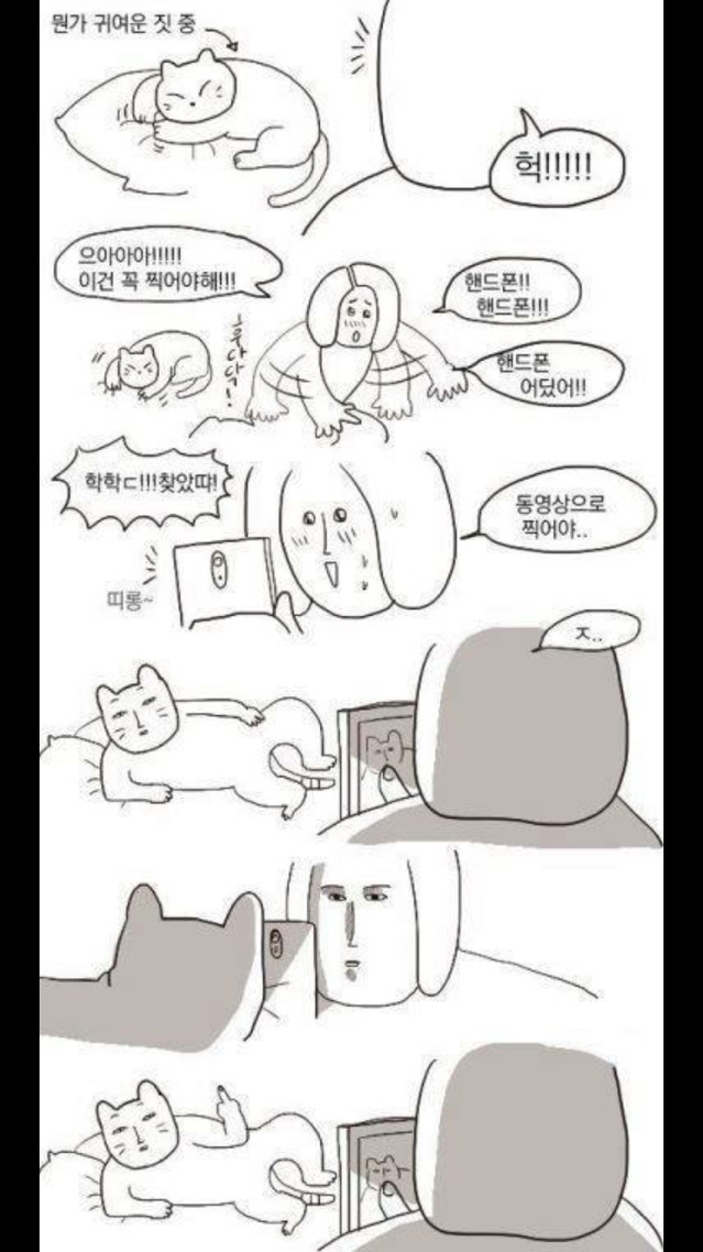 고양이 집사 300% 공감 | 인스티즈