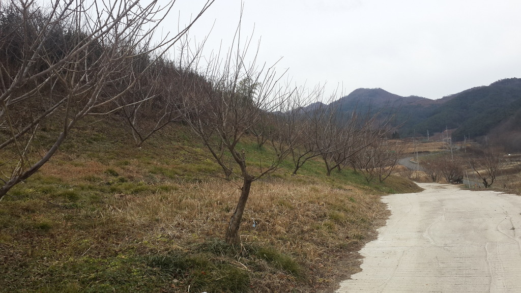 하동산초농장 이미지