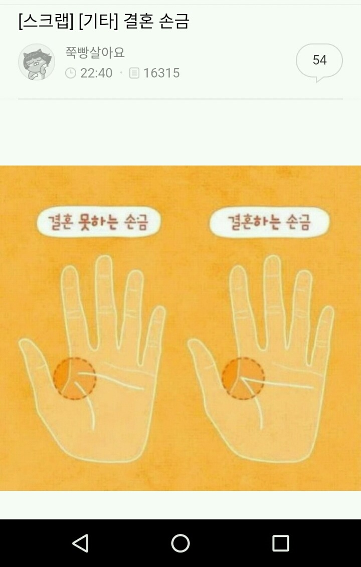 내가 모은 잡다한 정보들 데이터주의 | 인스티즈