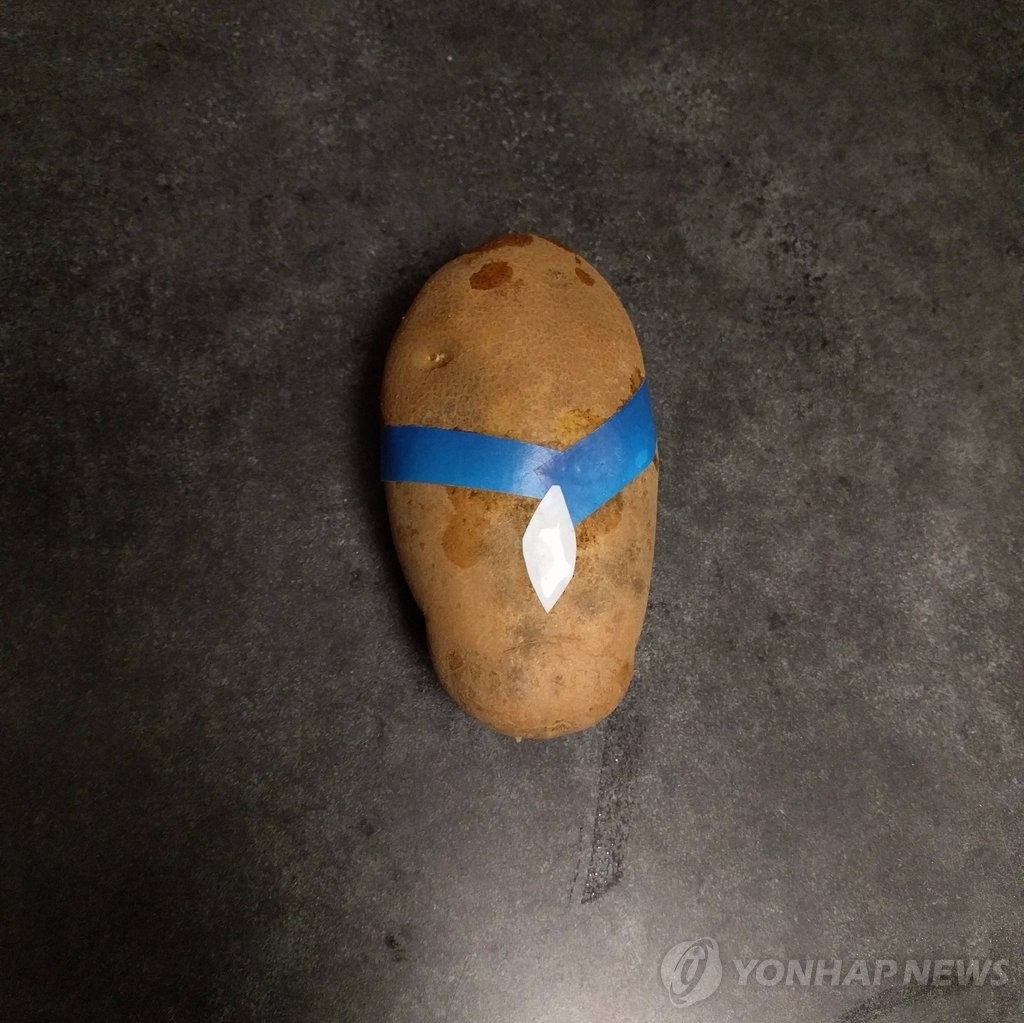 감자로 표현한 디즈니 공주들.jpg | 인스티즈
