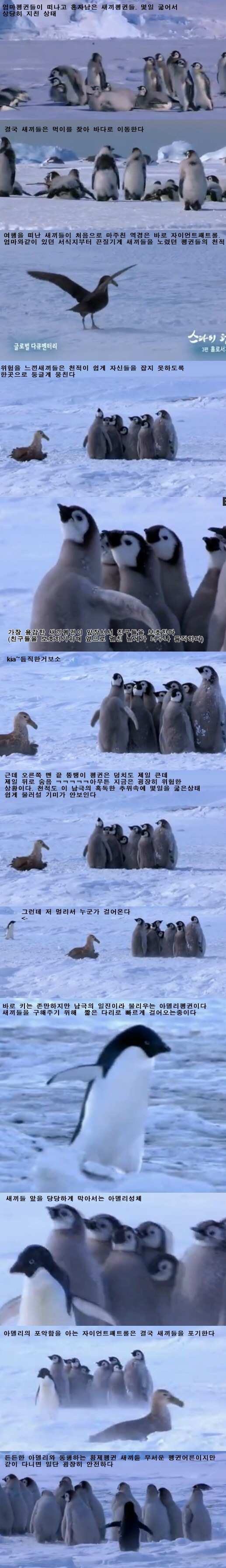 흔한 남극의 일진.jpgif | 인스티즈