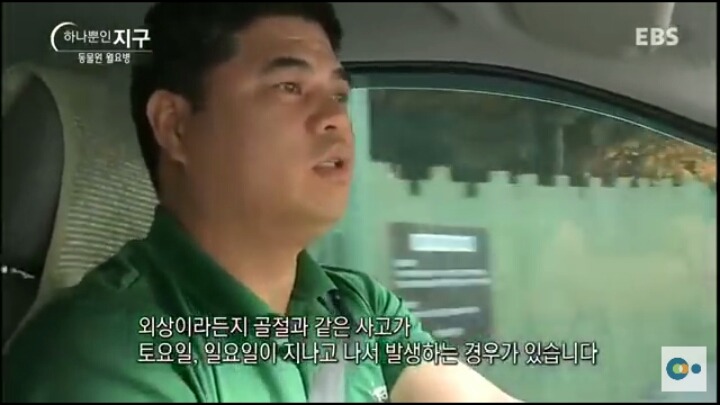 동물원 동물들이 월요병 생기는 이유 | 인스티즈