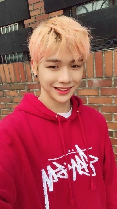 이쁘당 이미지