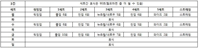 턱걸이 초보도 50개 올리는 프로그램 | 인스티즈