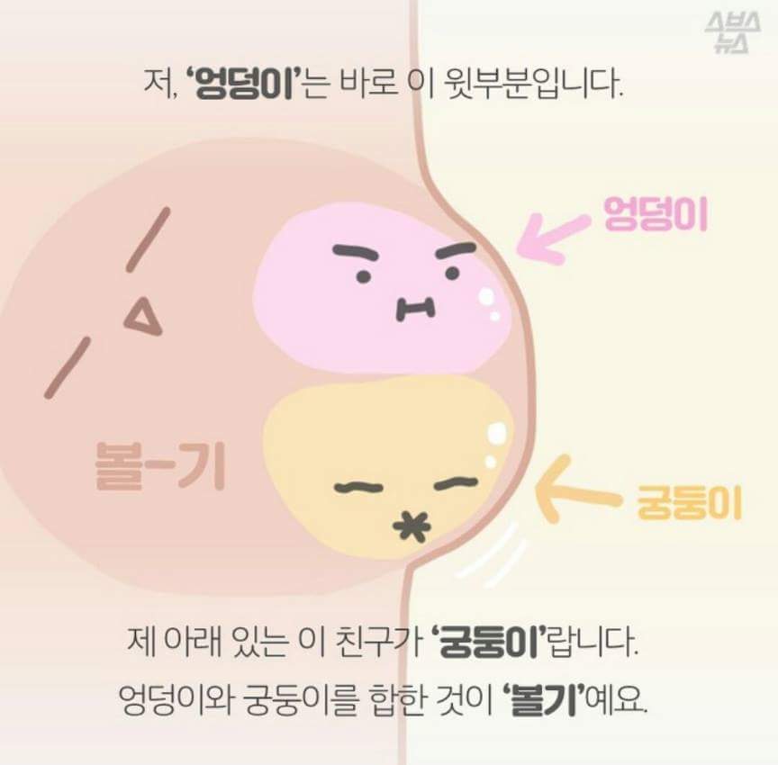 엉덩이의 비밀.jpg | 인스티즈