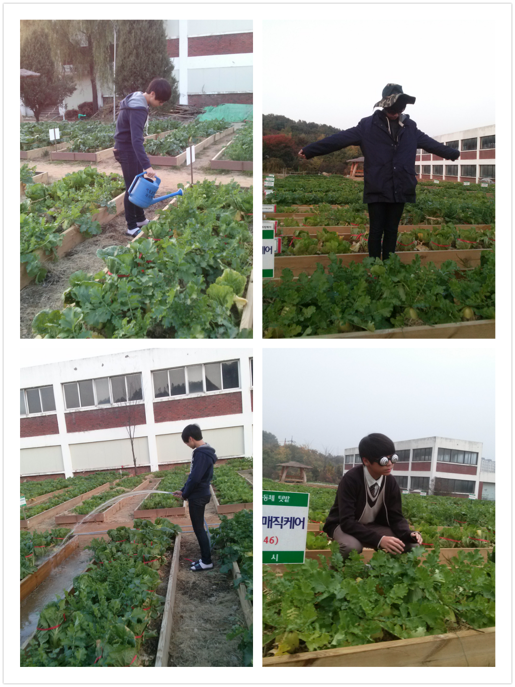 우렁각시매직케어 이미지