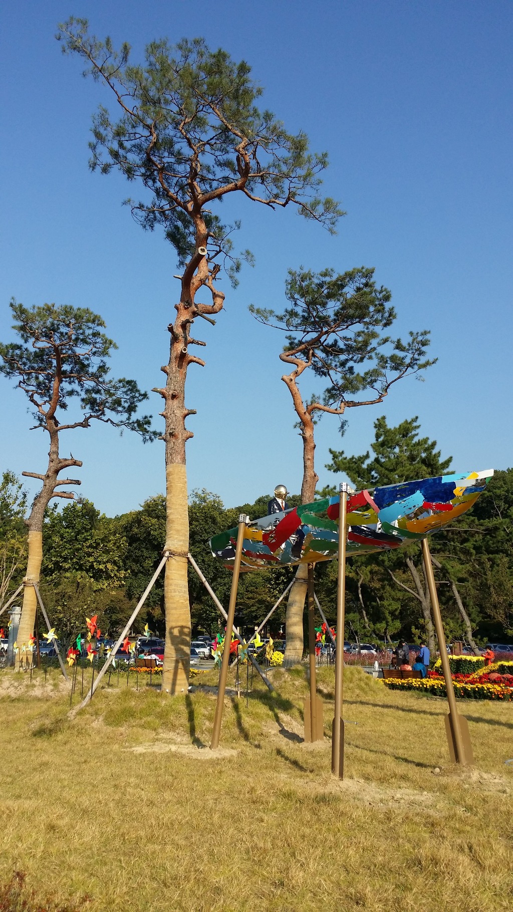 동산화원 이미지