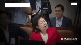 이은재에게 한방 날리는 손혜원 의원.gif | 인스티즈