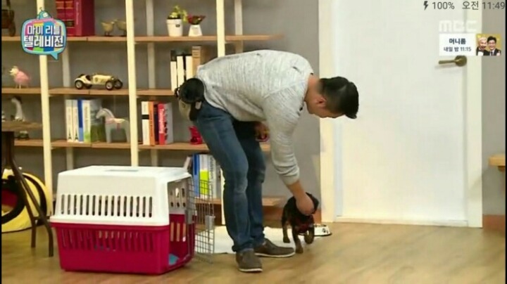[마리텔] 강형욱 훈련사도 포기한 강아지 도비 | 인스티즈