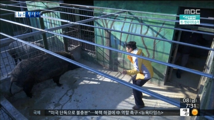 MBC기자의 투철한 사명감.JPG | 인스티즈