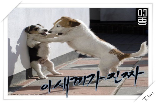 같지만... 맞네.gif | 인스티즈